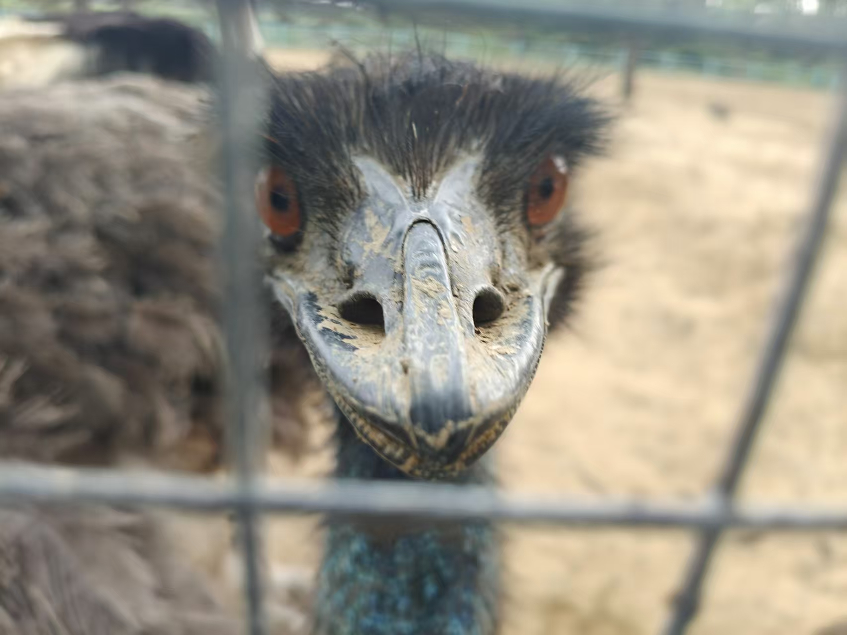 我将永远视奸你（