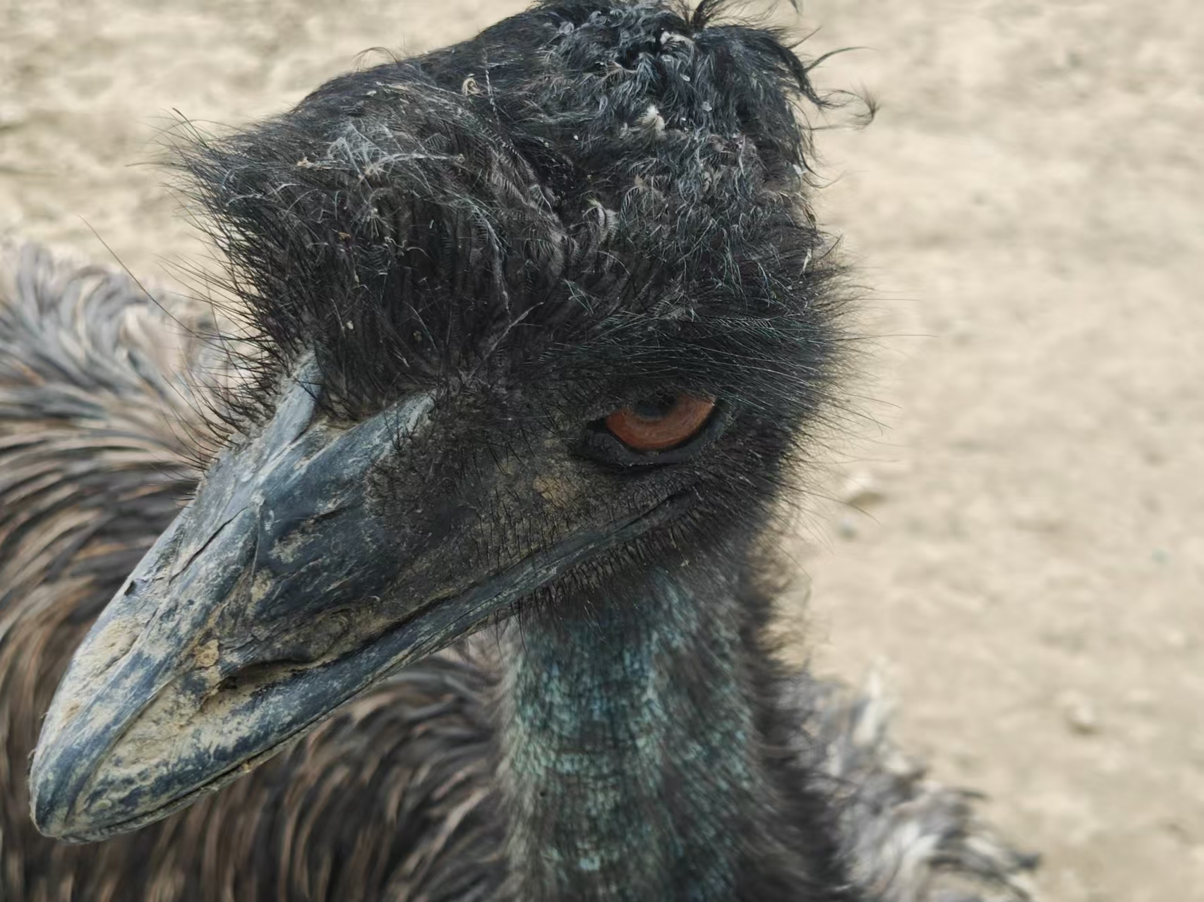 我乃清朝第一杀手！