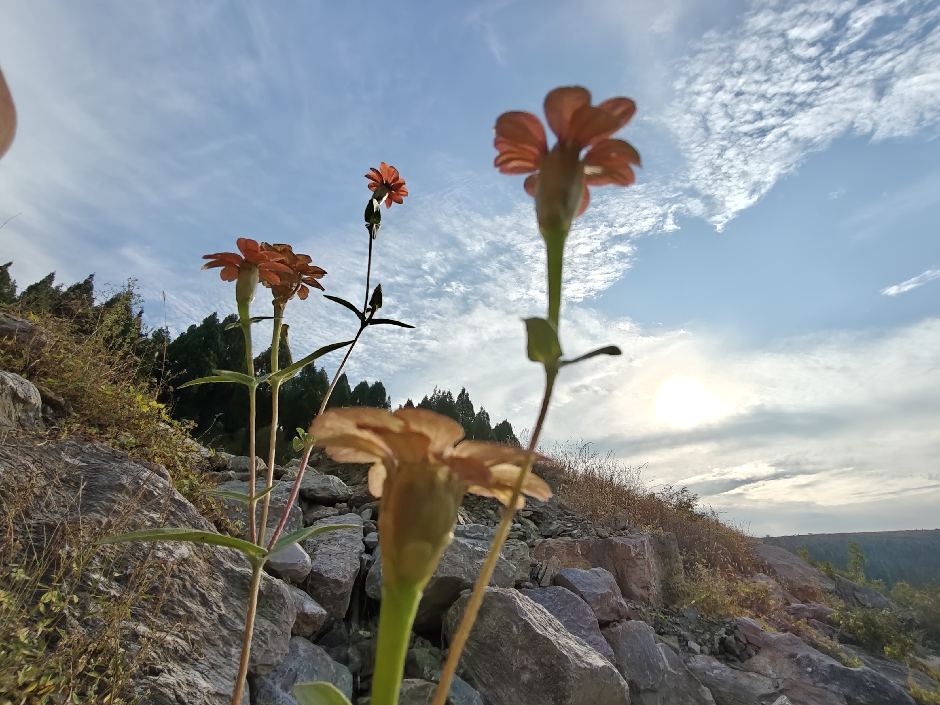 环境不是问题，问的是心