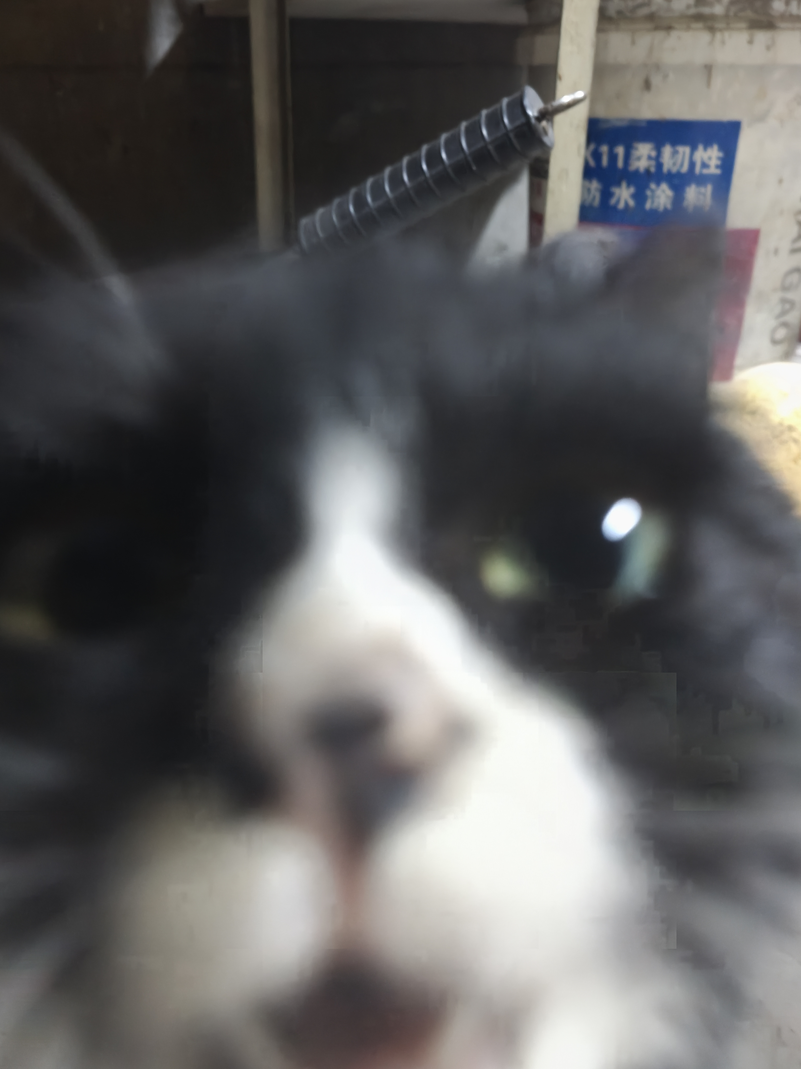 镜头是什么味道的？