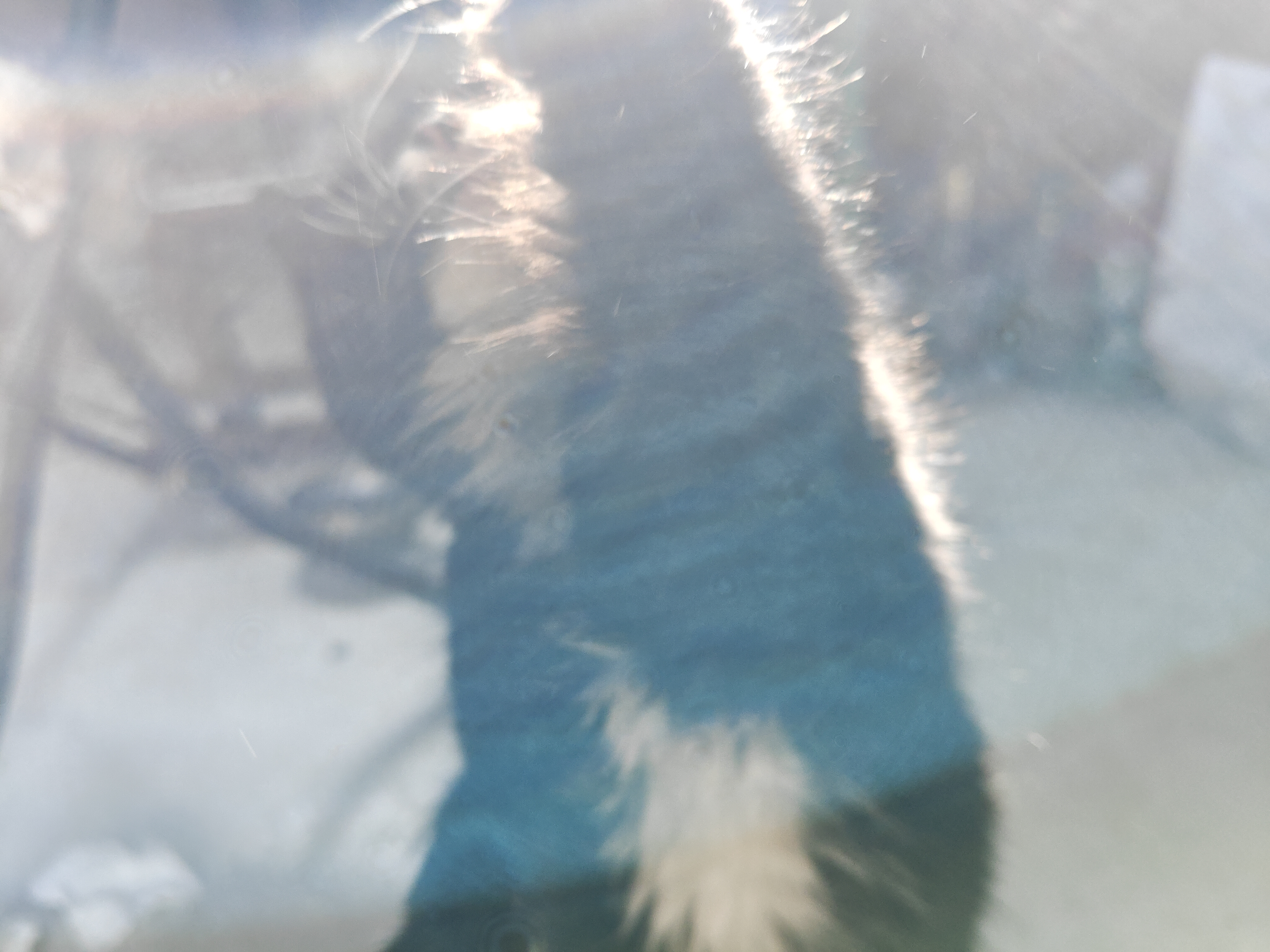 哇塞！是吃滴，我们有救了！